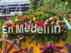 Viva la Feria de las Flores en Medellín: tradición, color y cultura en un solo viaje