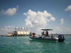 Miami y Miami Beach: el destino perfecto para vivir el otoño al máximo