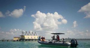 Miami y Miami Beach: el destino perfecto para vivir el otoño al máximo
