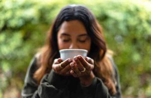 Boquete y Tierras Altas: el nuevo paraíso del café que conquista a los viajeros colombianos