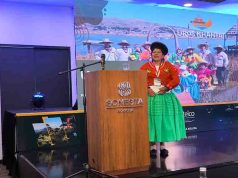 Glamping y alojamientos no tradicionales toman fuerza en Colombia