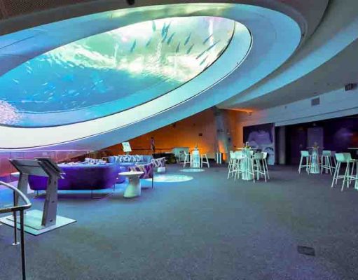 Miami se reinventa: descuentos y experiencias imperdibles para viajar en 2026