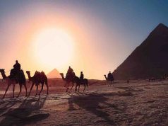 Despegar llega a ExpoVacaciones con descuentos históricos y viajes hasta 2028