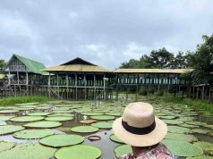 PRIMASATENA impulsa el turismo en Colombia con descuentos del 15% en vuelos nacionales