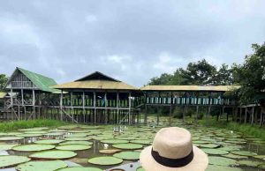 PRIMASATENA impulsa el turismo en Colombia con descuentos del 15% en vuelos nacionales