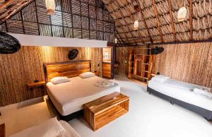 Tecnología colombiana impulsa una nueva era para los hoteles independientes